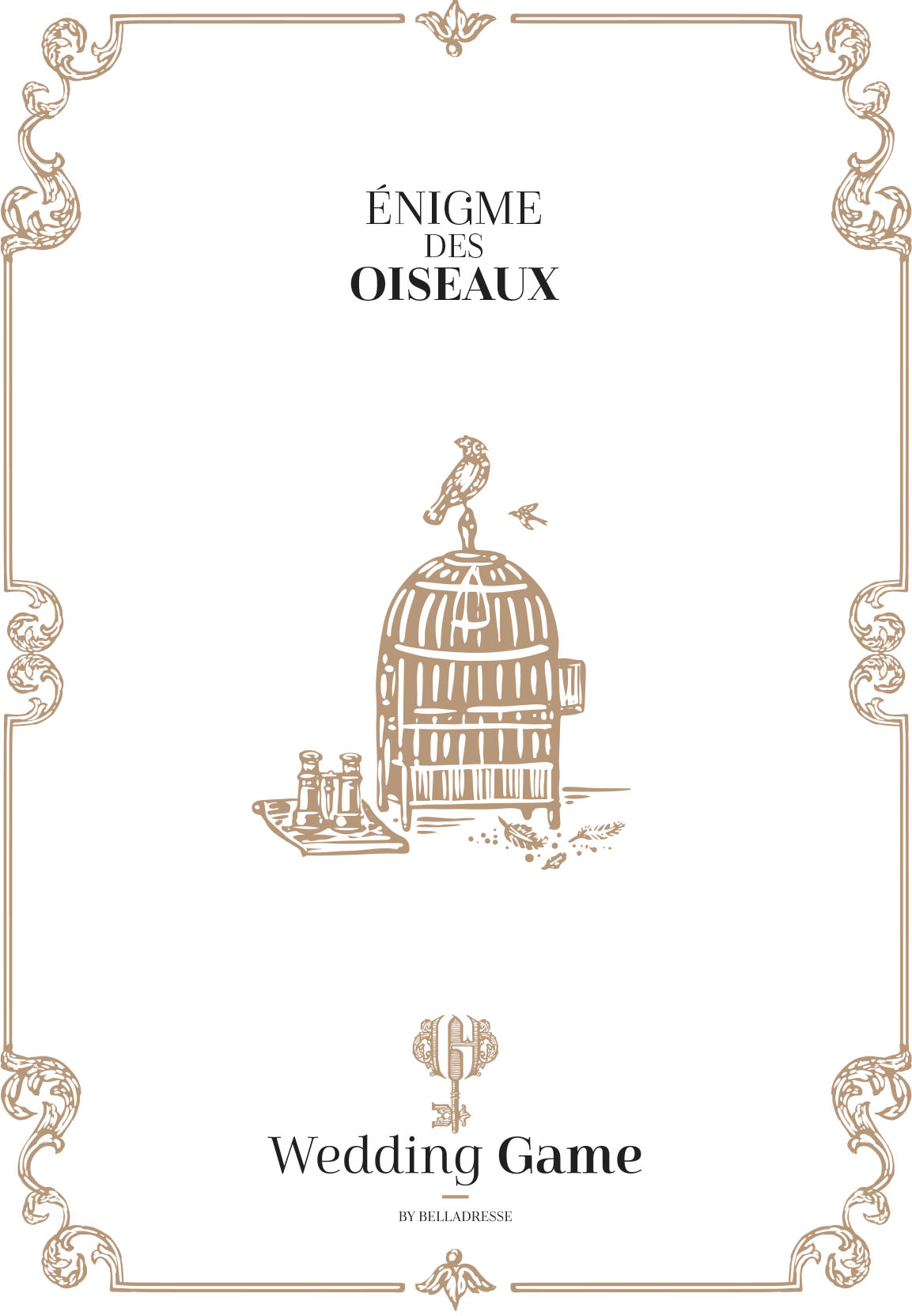 l enigme des oiseaux